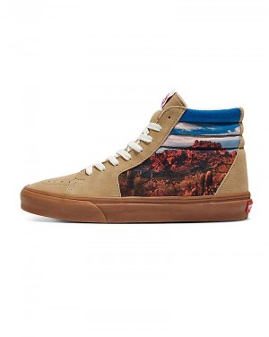 Men's Vans Customs Image Library Desert Sk8-Hi Shoes Brown | USA SWL-617589