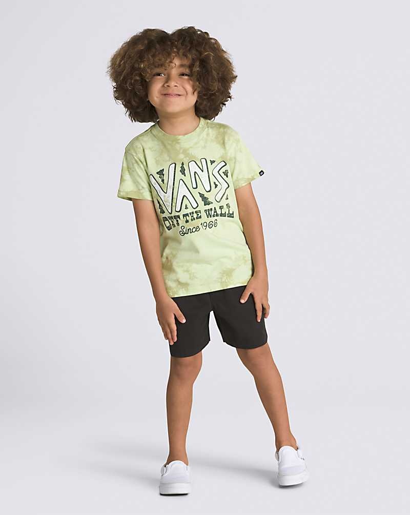 Kids' Vans Little Kids Trail Head Tie Dye T-Shirt Green | USA YHS-671293