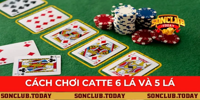 Cách Chơi Catte