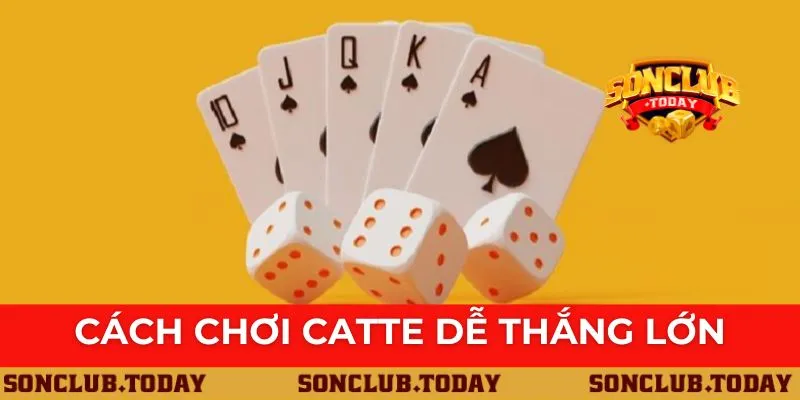 Cách Chơi Catte