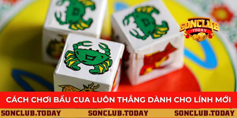Cách chơi bầu cua luôn thắng dành cho lính mới